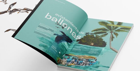 Guia Gurística Vllae del Cauca